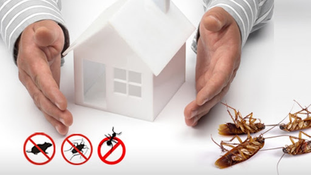 Top 10 Tips For Hiring Pest Control Services