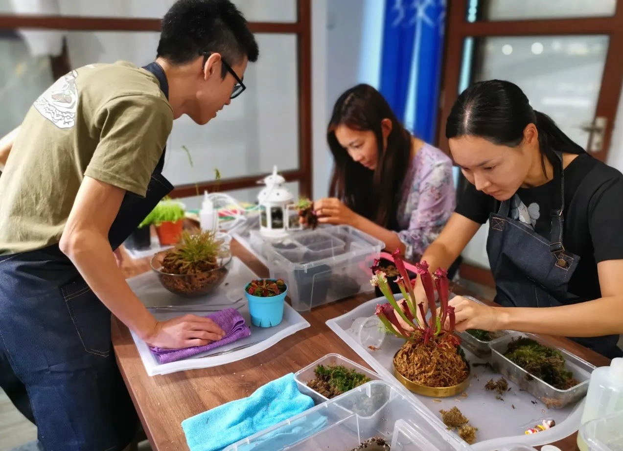 Wonderland in a Bottle: Embark on a Terrarium Workshop Adventure